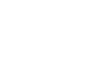 TRIUMPH