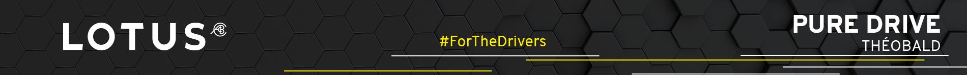 Lotus - Groupe Théobald Lorraine Nancy Metz 